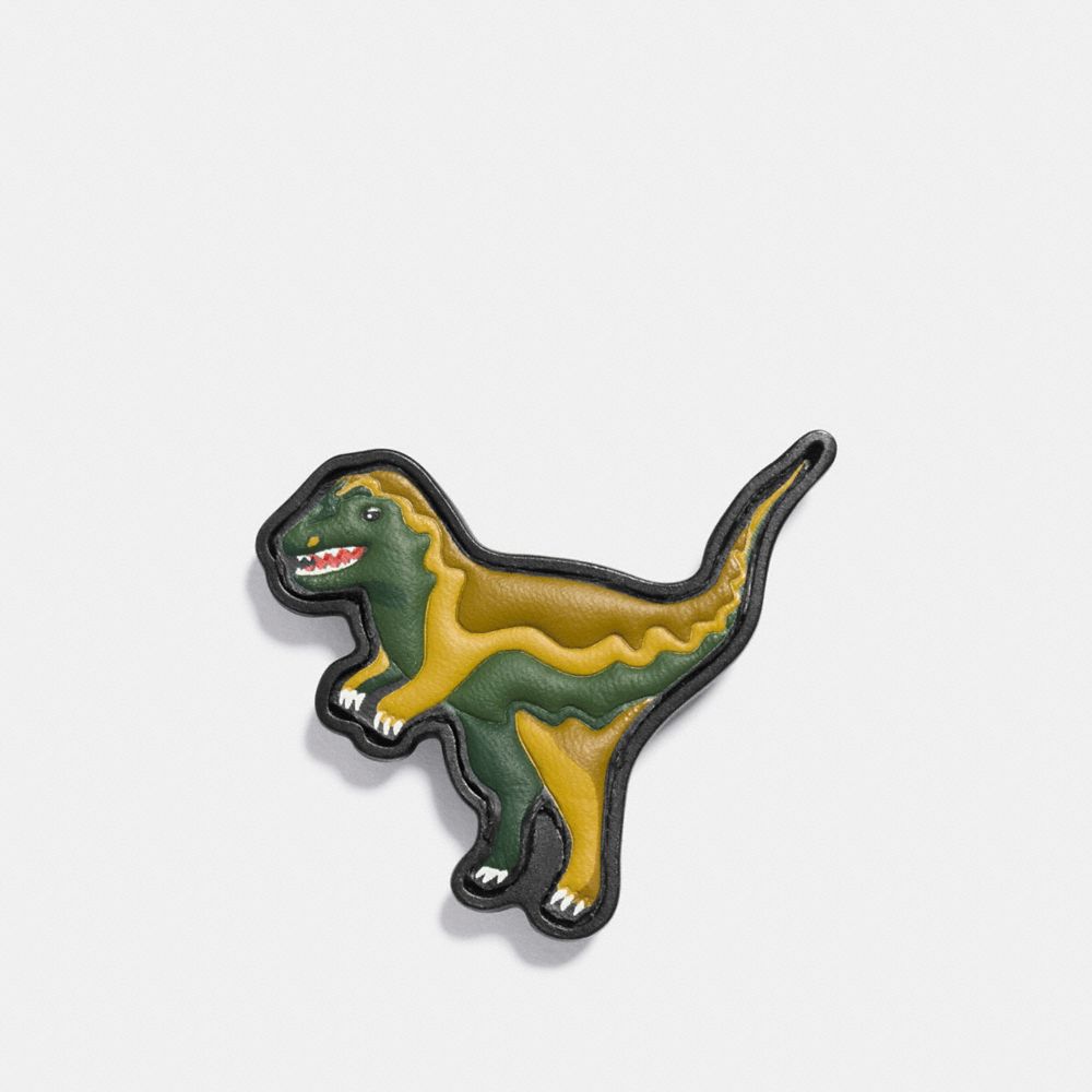 Paint By Numbers Rexy Pin
