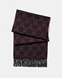 COACH®,GRAPHIC STAR SCARF,Cashmere Blend,RED/BLACK,Front View