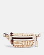COACH®,VALE BELT BAG IN SIGNATURE CANVAS WITH REXY BY GUANG YU,pvc,Gunmetal/Light Khaki/Chalk Multi,Front View