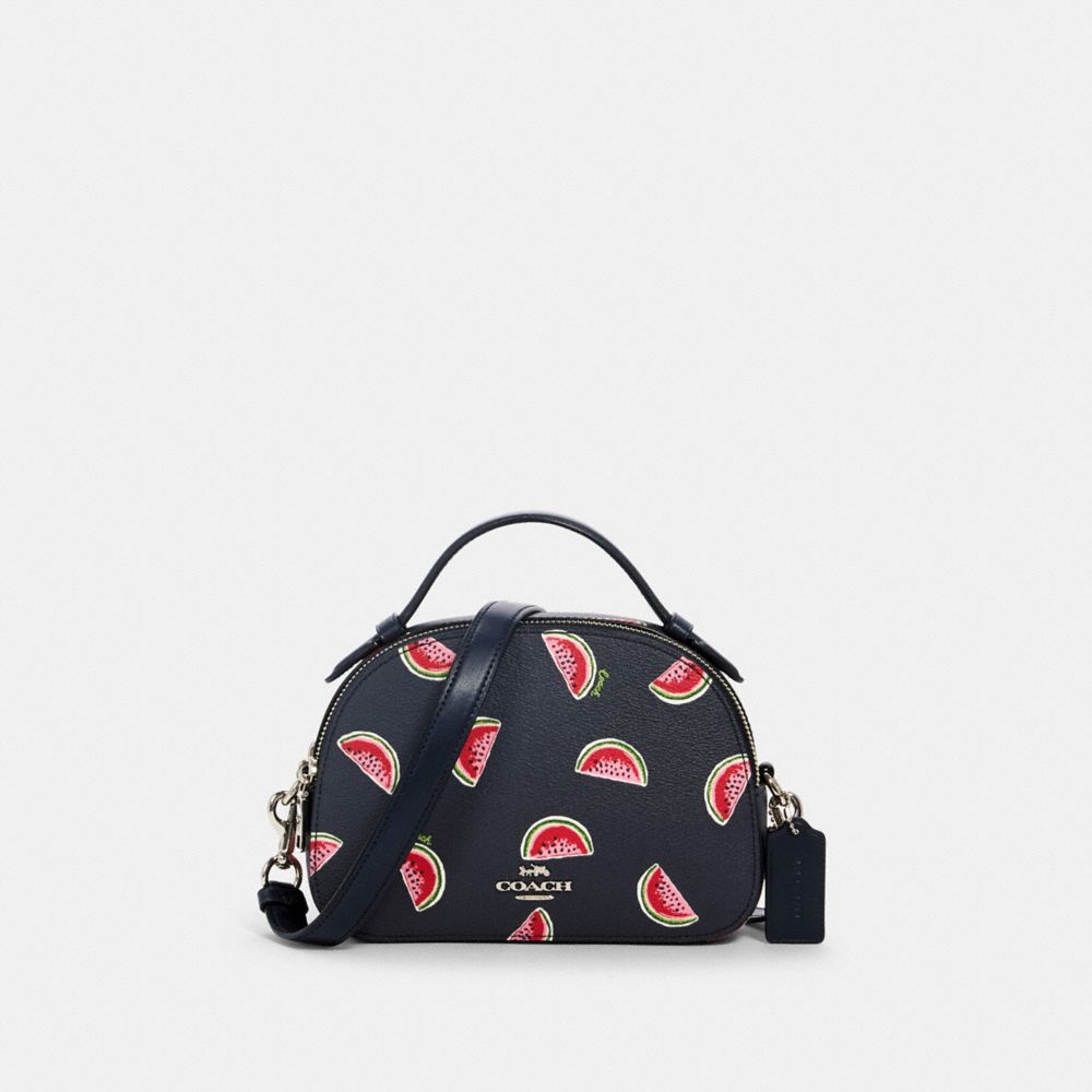 Coach discount watermelon wallet