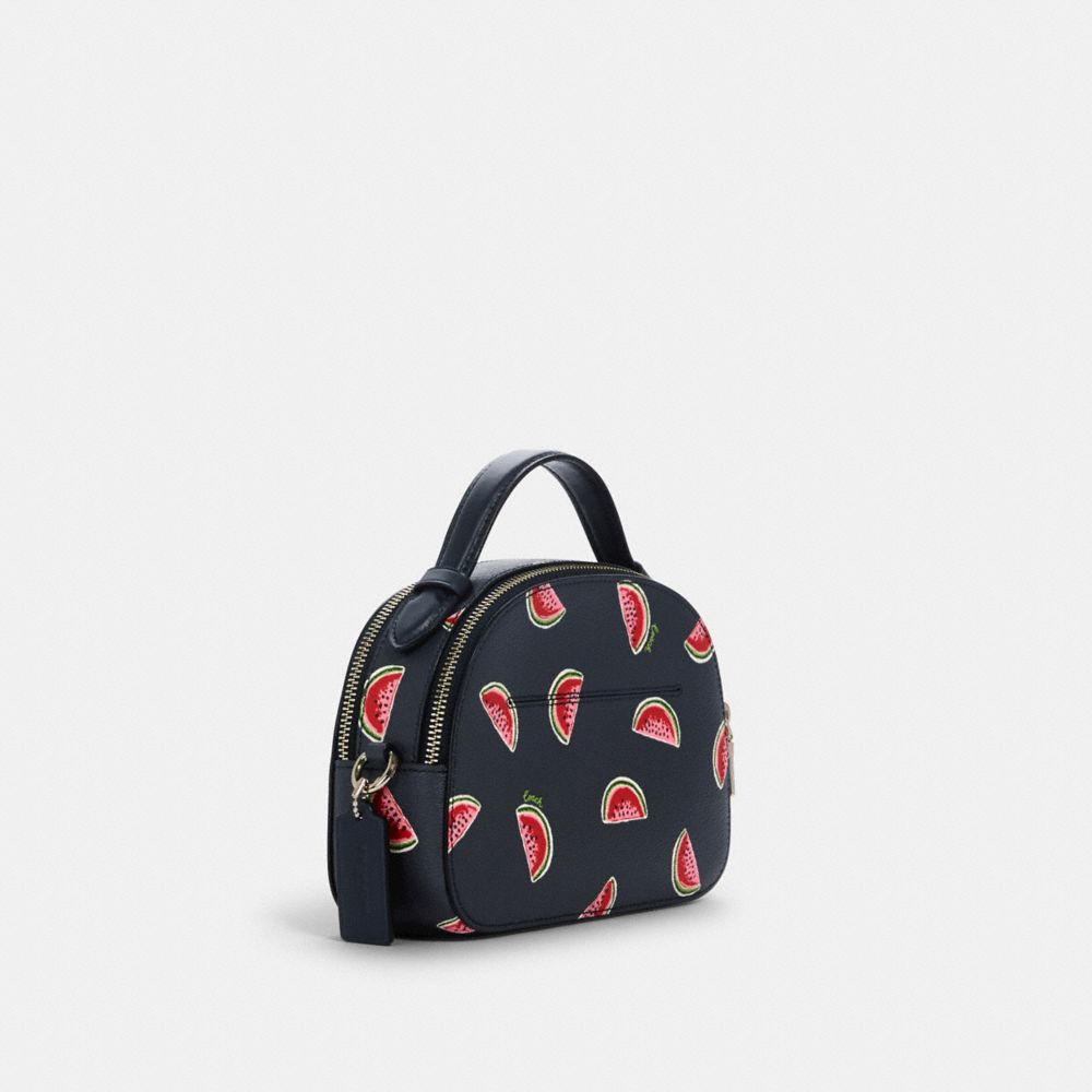 Coach watermelon online bag