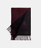 COACH®,HORSE AND CARRIAGE CASHMERE MUFFLER,cashmere,Wine/Black,Front View