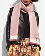 COACH®,CHARM KNIT SCARF,wool,Chalk/Dusty Rose,Angle View