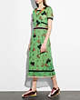 COACH®,EMBROIDERED NAUTICAL DRESS,Silk,GREEN MULTI,Scale View