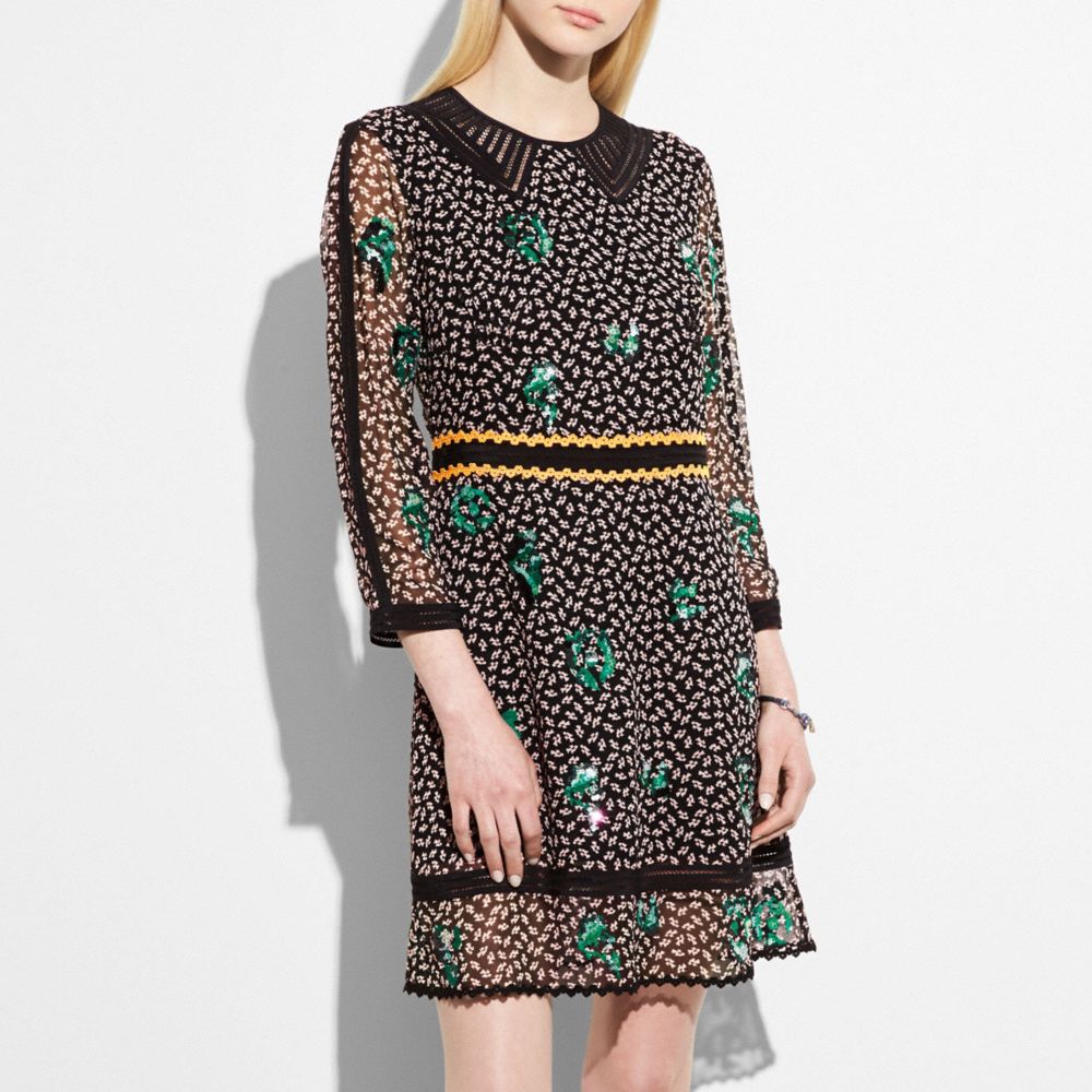 Embroidered Graphic Duck Dress