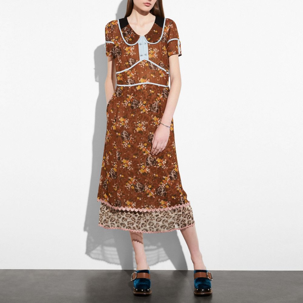 COACH®,PRAIRIE DOG ROSE DOUBLE COLLAR DRESS,Mixed Material,Teak Multi,Scale View