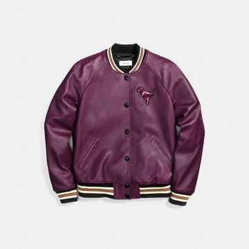 coach中國官網coachvarsity皮夾克20246plu