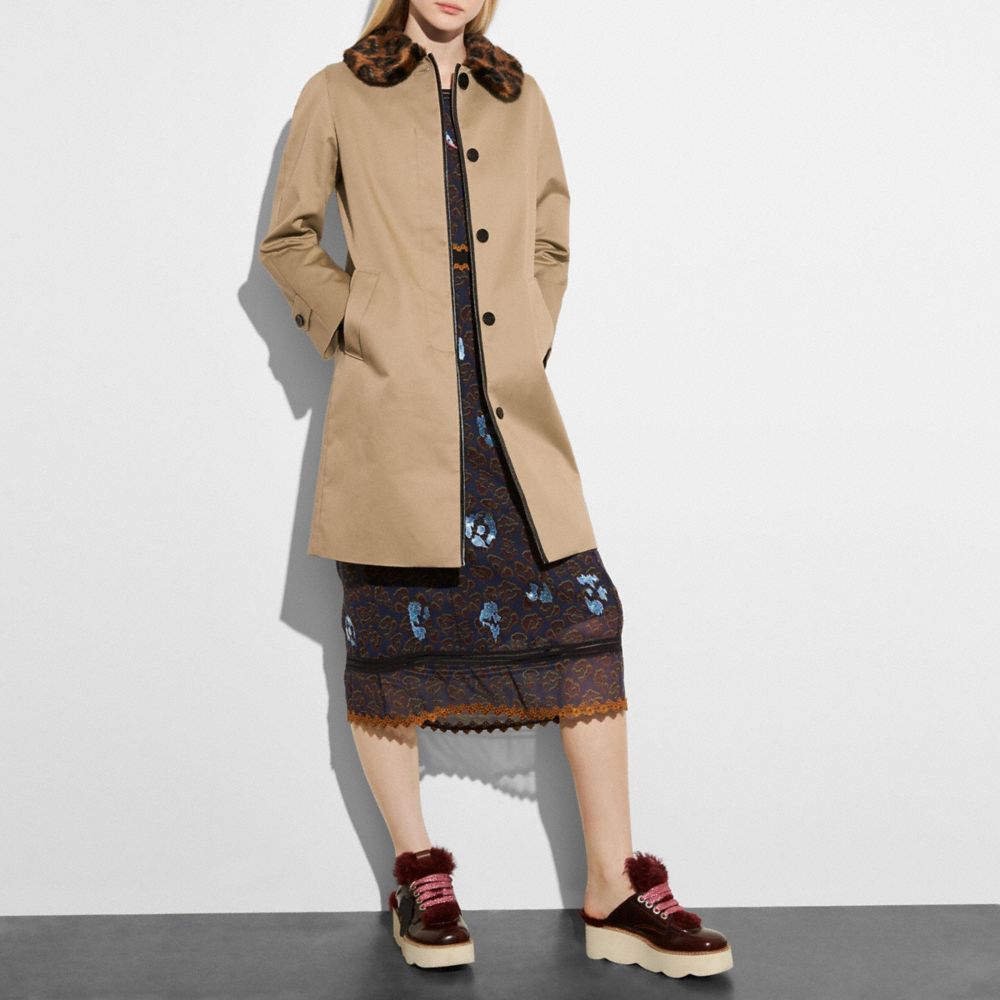 Beige,Visualizzazione in scala