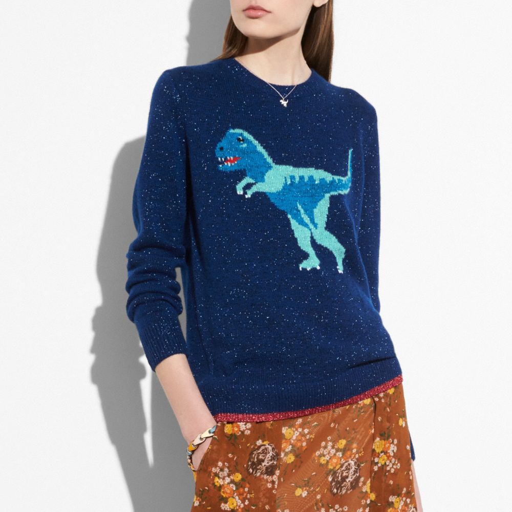 Coach discount rexy jumper