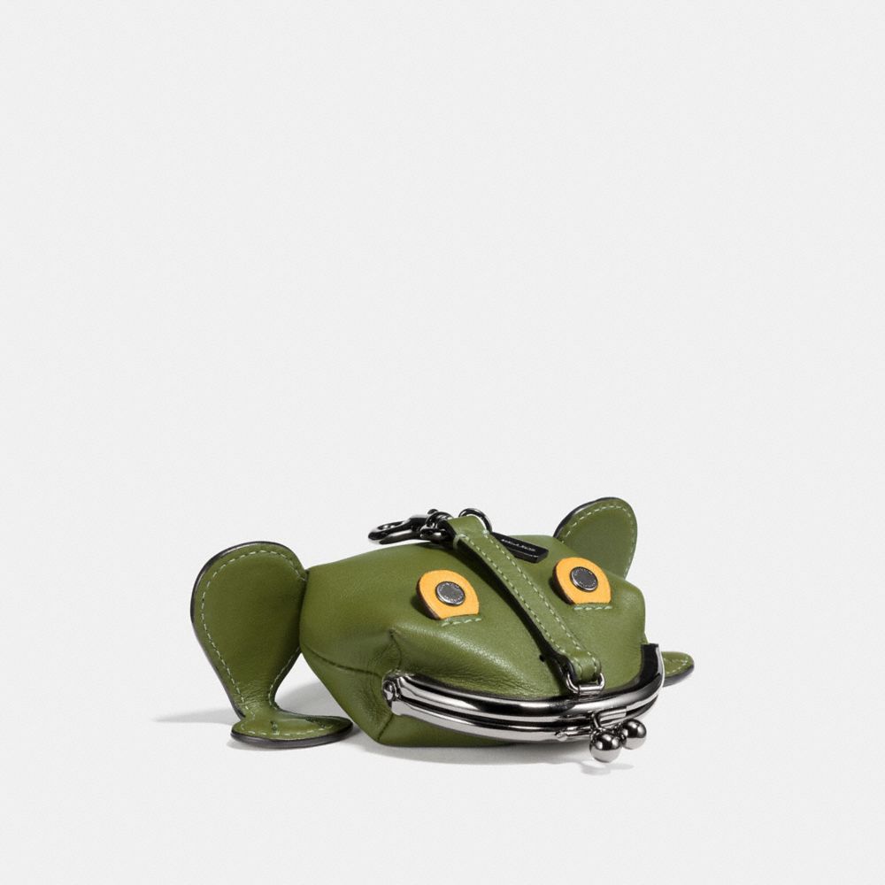Froggy Coin Case