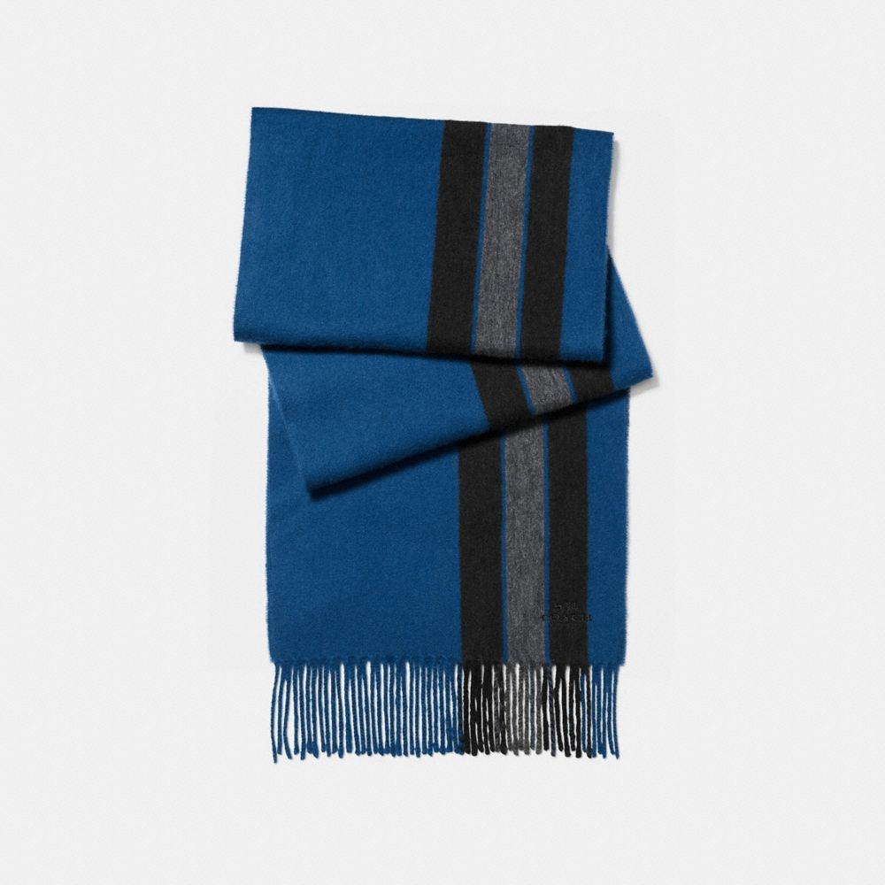 Varsity Stripe Scarf