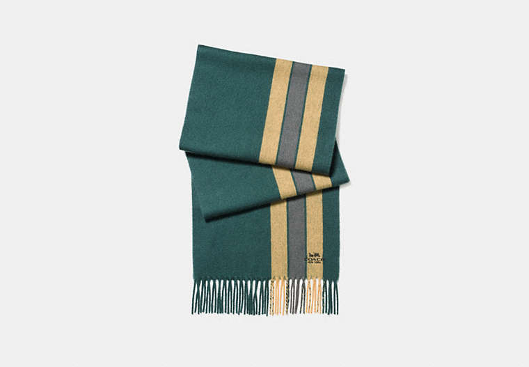 COACH®,VARSITY STRIPE SCARF,Cashmere Blend,Forest/Yellow Gold/Graphite,Front View
