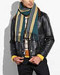 COACH®,VARSITY STRIPE SCARF,Cashmere Blend,Forest/Yellow Gold/Graphite,Angle View
