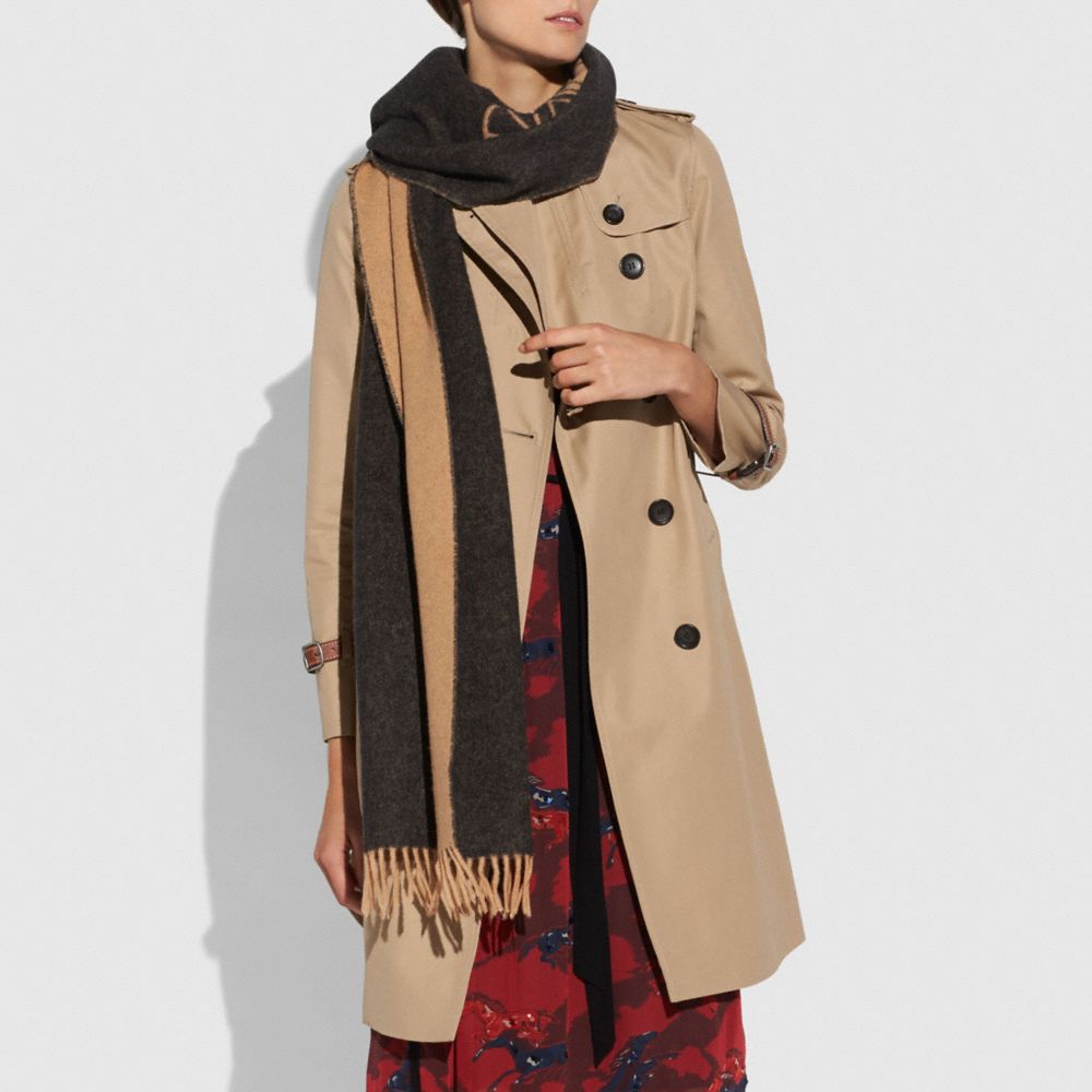 Rexy And Carriage Muffler