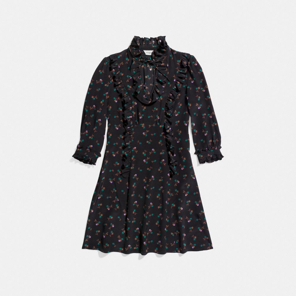 coach-western-shirt-dress