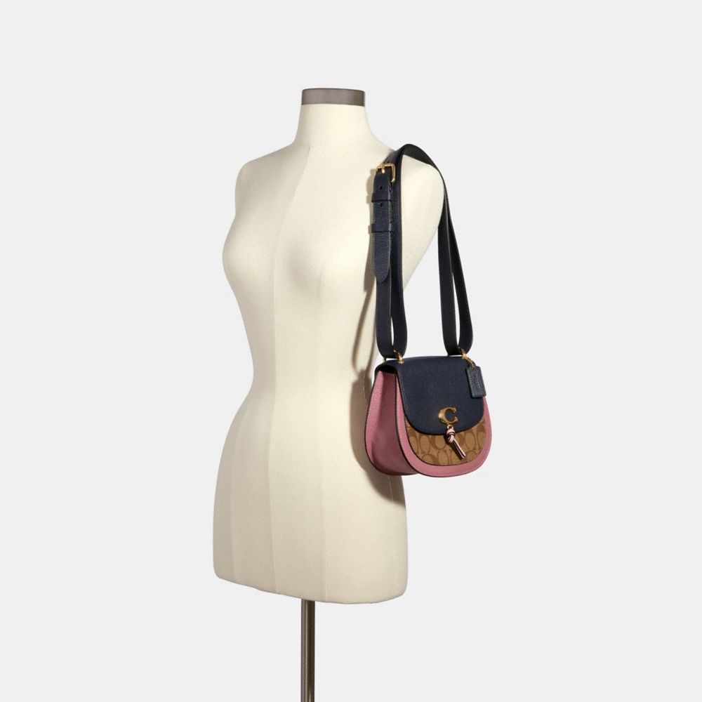 Remi saddle discount bag in colorblock