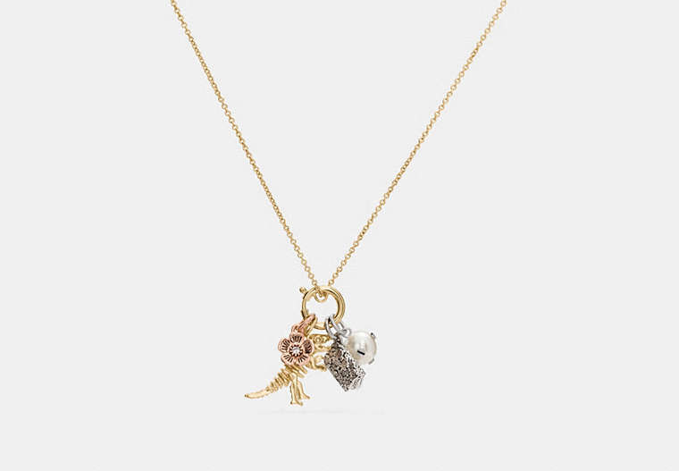 Rexy Charm Collectible Necklace Set