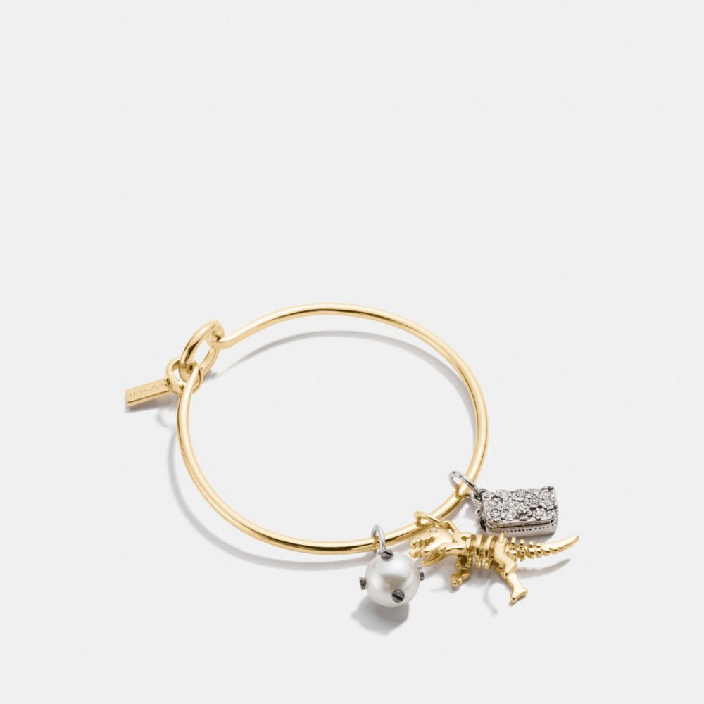 Rexy Charm Collectible Hoop Bangle Set