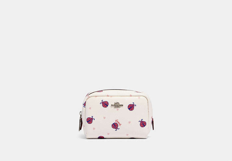 Mini Boxy Cosmetic Case With Ladybug Print