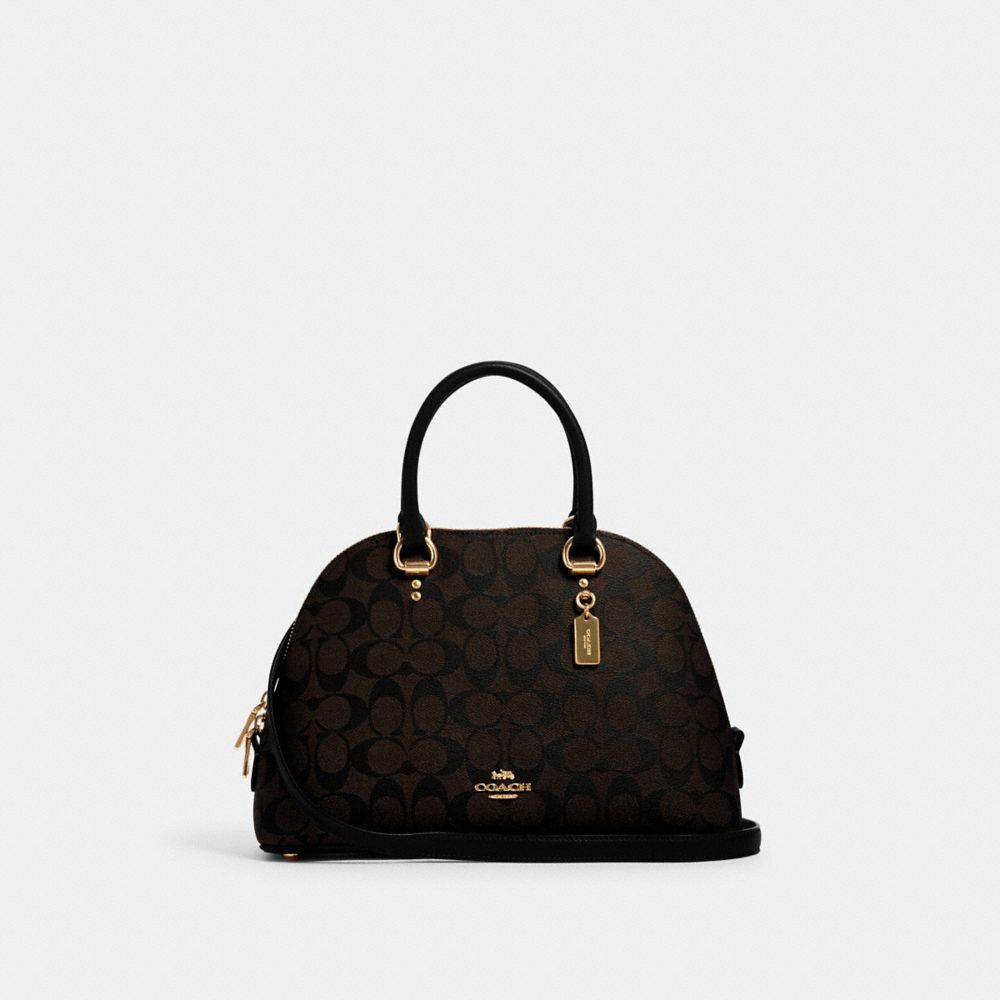 Louis Vuitton Alma PM vs Coach Katy Satchel Bag 