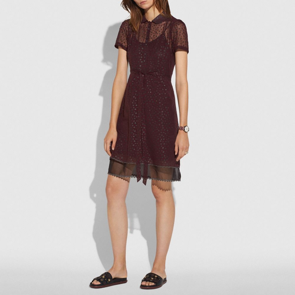 COACH®,Star Print Shirt Dress,,Scale View