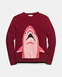 Sharky Intarsia Sweater