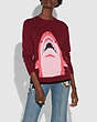 Sharky Intarsia Sweater