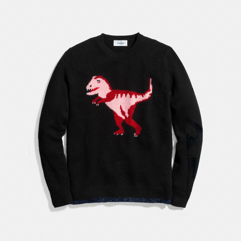 Coach t hot sale rex sweater