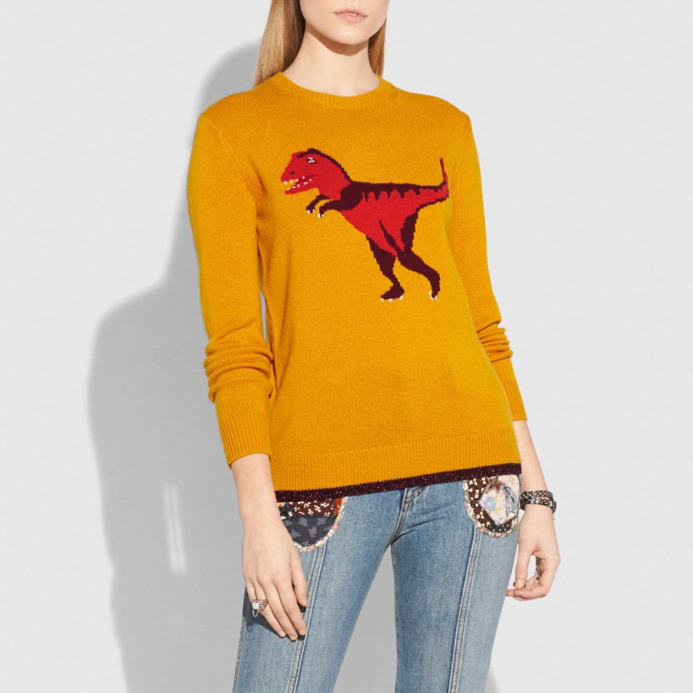 Coach best sale dinosaur sweater