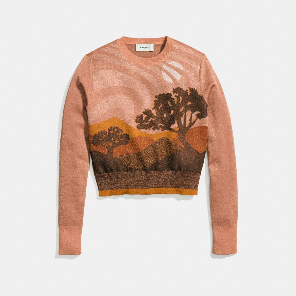 COACH®,LANDSCAPE CREWNECK SWEATER,wool,Rose,Front View image number 0