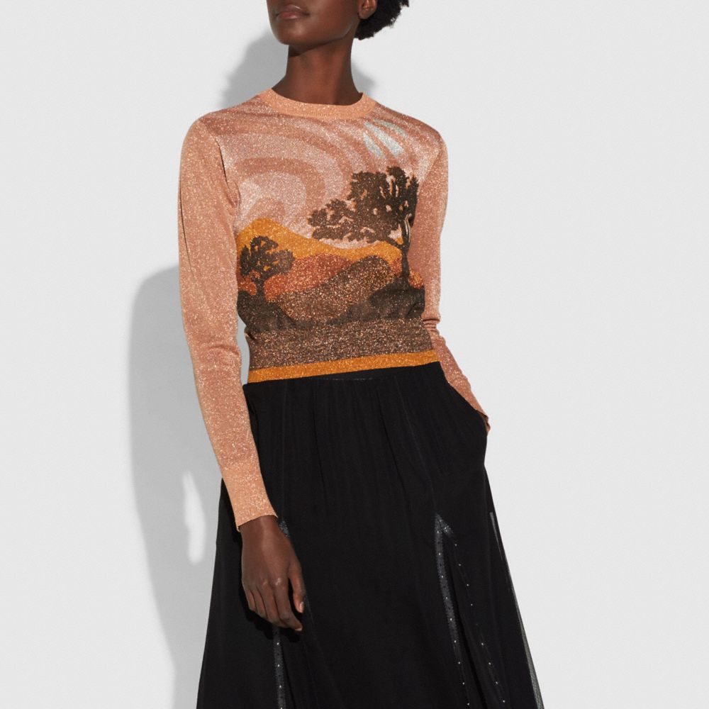 Landscape Crewneck Sweater