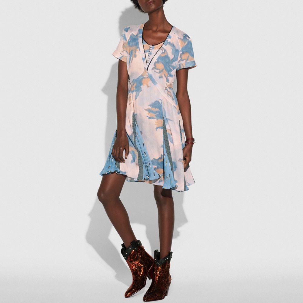 Dreamy Floral Print Pleated Dress