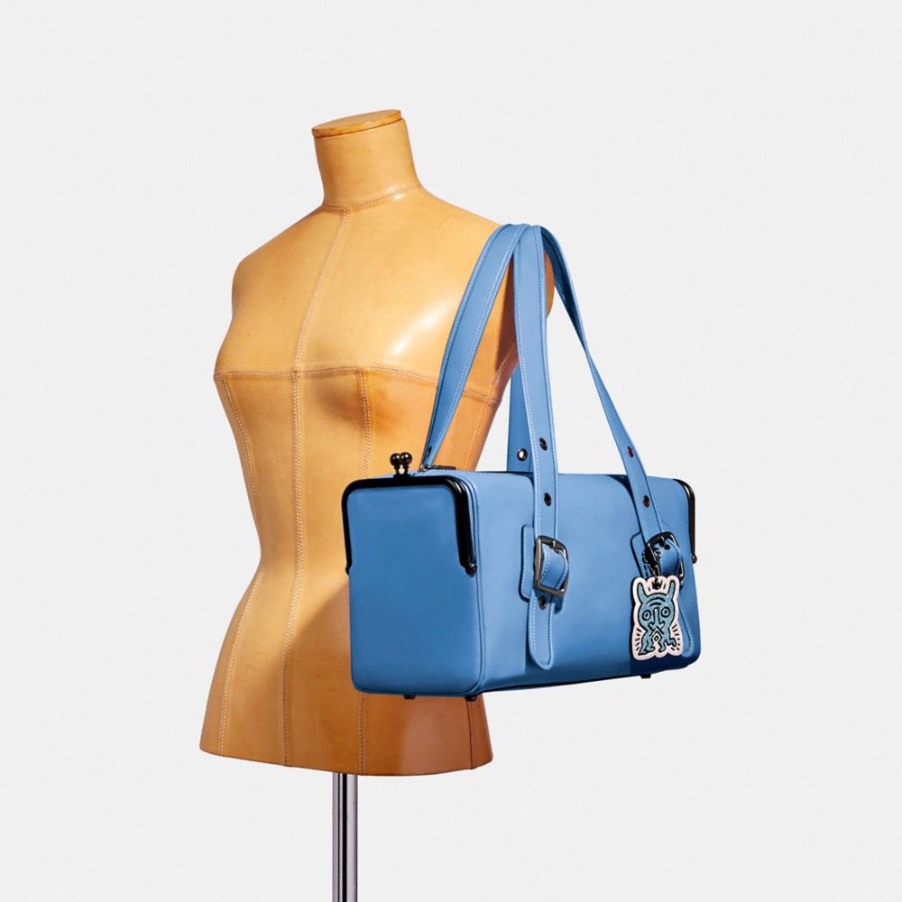 Mailbox Bag