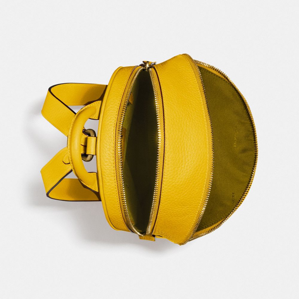 COACH®,Carrie Backpack 23,,Inside View,Top View