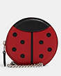 Ladybug Pouch Bag Charm