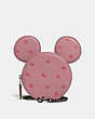 Minnie Mouse Coin Case