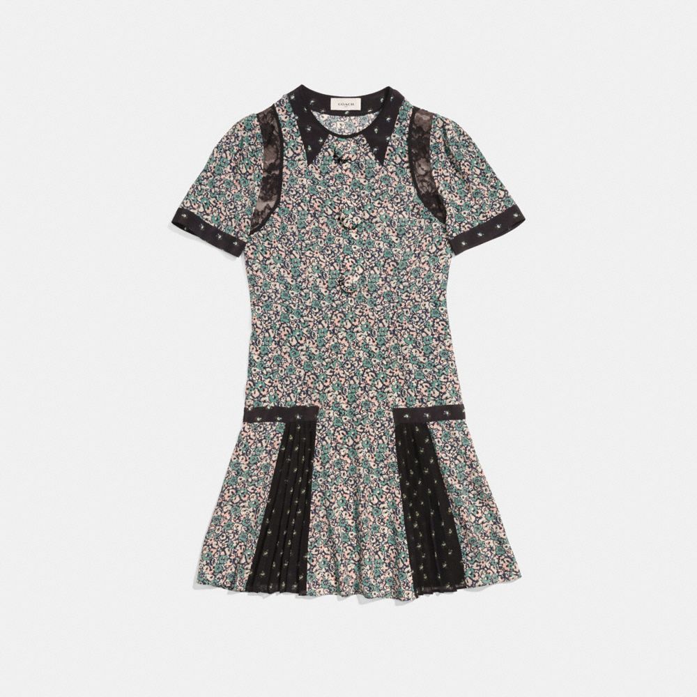 Prairie Blossom Print Pleated Dress