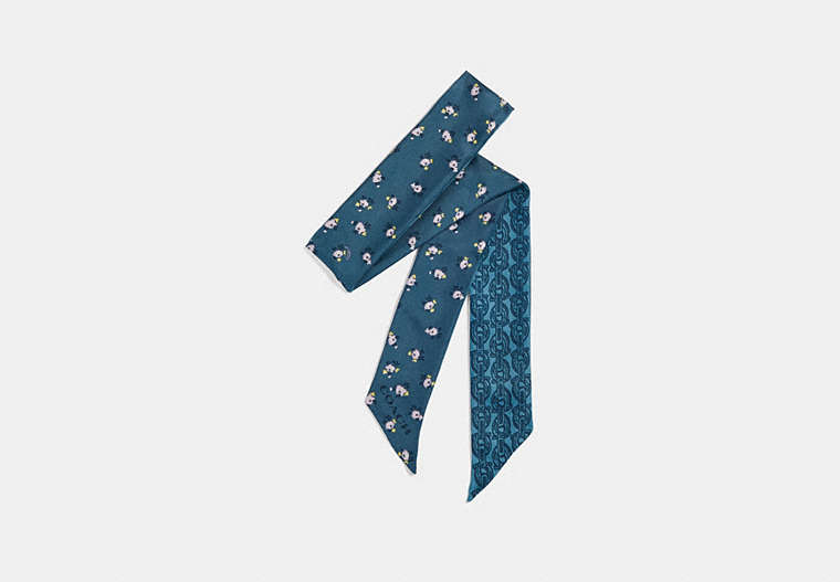 COACH®,SIGNATURE CHAIN MONOGRAM SKINNY SCARF,Silk,CHAMBRAY,Front View