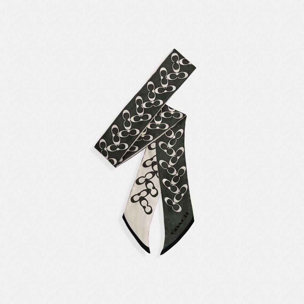 Signature Silk Skinny Scarf