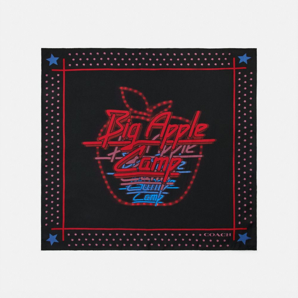 Disco Silk Bandana
