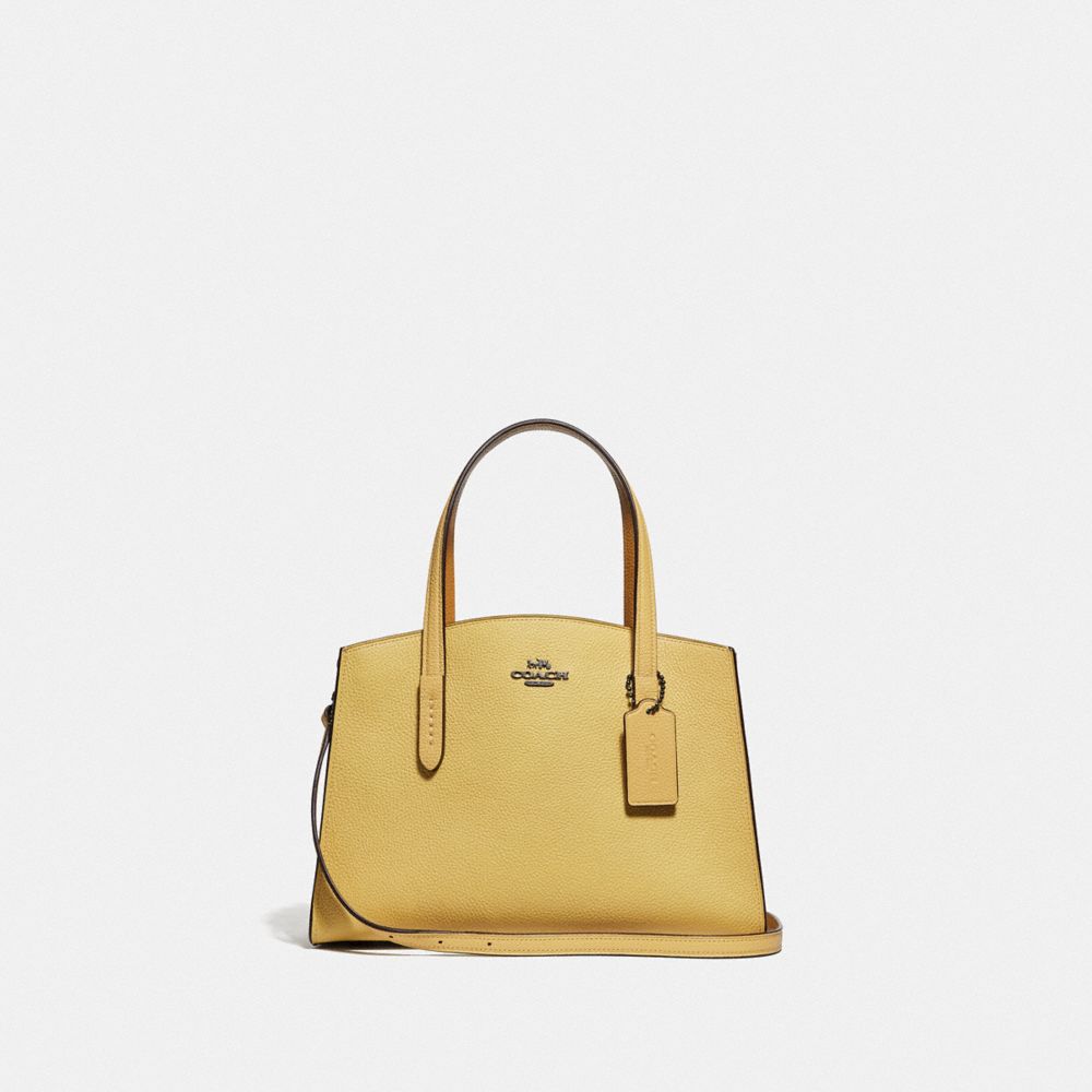 Charlie carryall 28 discount coach