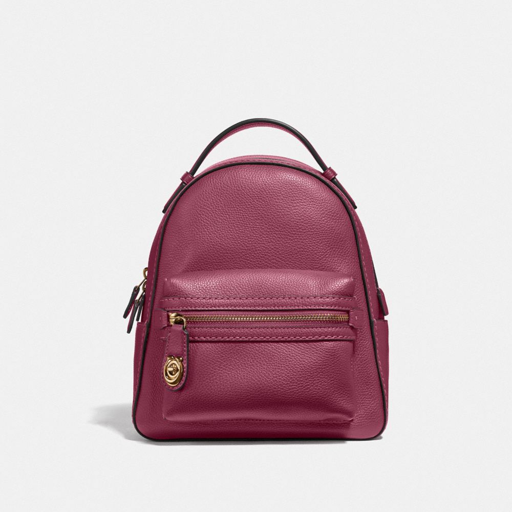 Gold Dusty Pink Campus Backpack 23