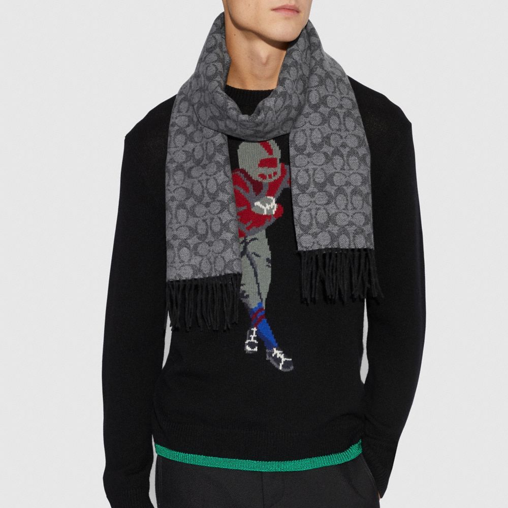 Signature Double Face Scarf