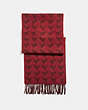 COACH®,GRAPHIC REXY SCARF,Wool Blend,RED/WINE,Front View