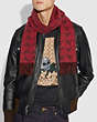 COACH®,GRAPHIC REXY SCARF,Wool Blend,RED/WINE,Angle View