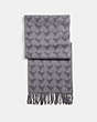 COACH®,GRAPHIC REXY SCARF,Wool Blend,HEATHER GREY/CHARCOAL,Front View
