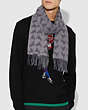 COACH®,GRAPHIC REXY SCARF,Wool Blend,HEATHER GREY/CHARCOAL,Angle View