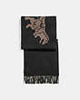 COACH®,REXY AND CARRIAGE CASHMERE SCARF,cashmere,BLACK/CAMEL,Front View