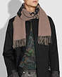 COACH®,REXY AND CARRIAGE CASHMERE SCARF,cashmere,BLACK/CAMEL,Angle View
