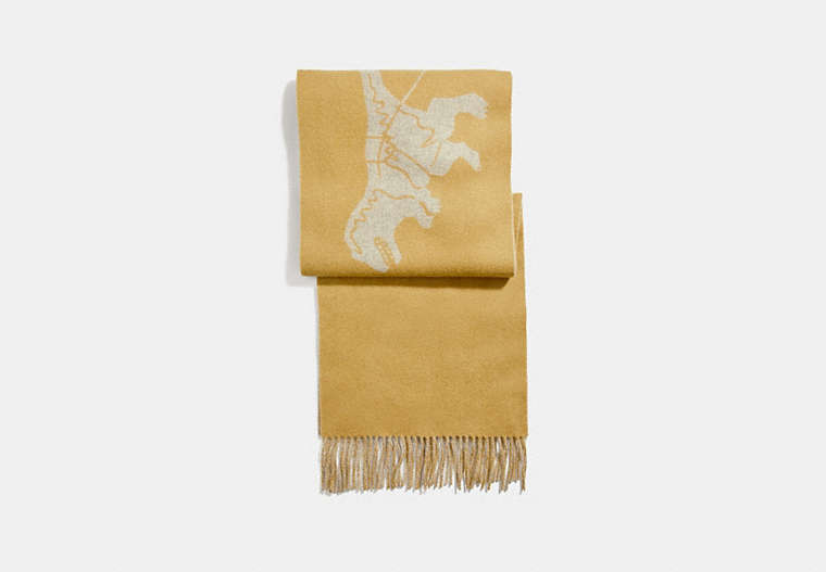 COACH®,REXY AND CARRIAGE CASHMERE SCARF,cashmere,Maize Heather Grey,Front View